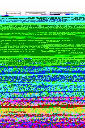 Matisse - Sanat - Soyut - Doğa - Yaşam ( Tekli Çerçevesiz ) Poster - Afiş - Tablo MKKM2484