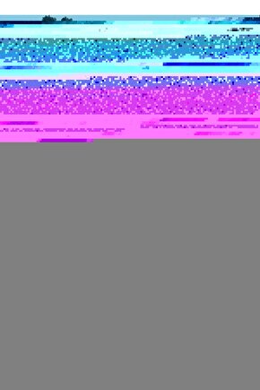 Matisse - Sanat - Soyut - Doğa - Yaşam ( Tekli Çerçevesiz ) Poster - Afiş - Tablo MKKM2252