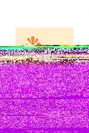 Matisse - Sanat - Soyut - Doğa - Yaşam ( Tekli Çerçevesiz ) Poster - Afiş - Tablo MKKM1331