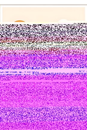 Matisse - Sanat - Soyut - Doğa - Yaşam ( Tekli Çerçevesiz ) Poster - Afiş - Tablo MKKM1052