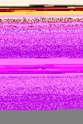 Matisse - Sanat - Soyut - Doğa - Yaşam ( Tekli Çerçevesiz ) Poster - Afiş - Tablo MKKM1289