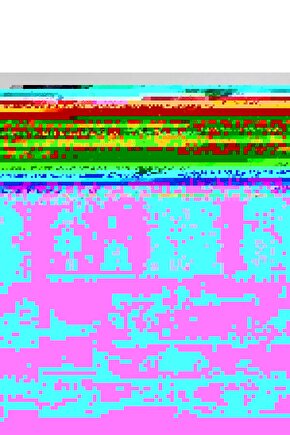 Matisse - Boho - Art Deco - Soyut - Doğa ( 3 lü Çerçevesiz ) Poster - Afiş - Tablo KR2C00252