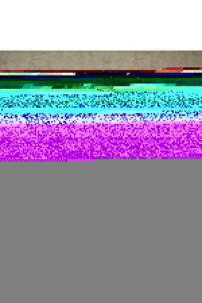 Matisse - Boho - Art Deco - Soyut - Doğa ( 3 lü Çerçevesiz ) Poster - Afiş - Tablo KR2C01093