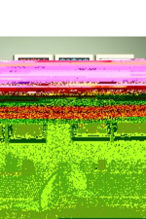 Matisse - Boho - Art Deco - Soyut - Doğa ( 3 lü Çerçevesiz ) Poster - Afiş - Tablo KR2C01256