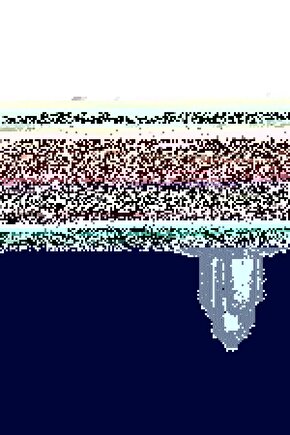 Volvo Subaru için Çamurluk Tamponu İtmeli Klips - 1 Adet
