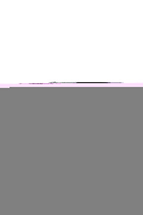 Yılın Başkanı  Man Of The Year Dvd