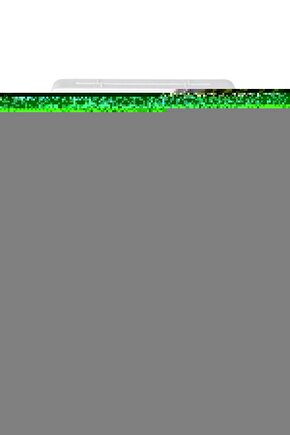 Kuş Ve Fotoğraf Makinesi Sanatsal Çerçeve Görünümlü Ahşap Tablo