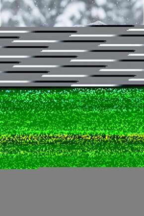 Kahverengi Papatya Kedi Köpek Yatağı