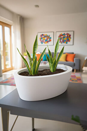 Aura Elipso Elips Fiber Saksı 40x30x20cm Mat - İç ve Dış Mekan