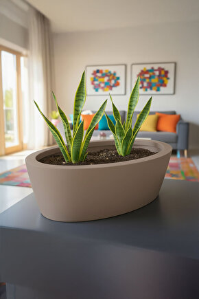 Aura Elipso Elips Fiber Saksı 40x30x20cm Mat - İç ve Dış Mekan