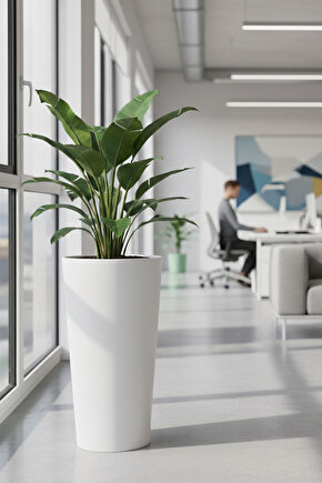 Aura Vaso 70x40cm Konik Fiberglass Saksı Büyük Boy İç Mekan Dış Mekan