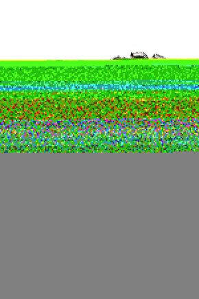 BB69 BEYBLADE METAL FUSION POISON SERPENT 158-30M