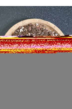 Lacivert Köpük Hazır Eşarp