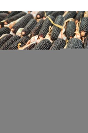 Brick Gri Yer Duvar Seramiği