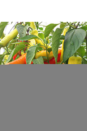 Alto Mat Antrasit 50 Cm Tezgah Üstü Lavabo