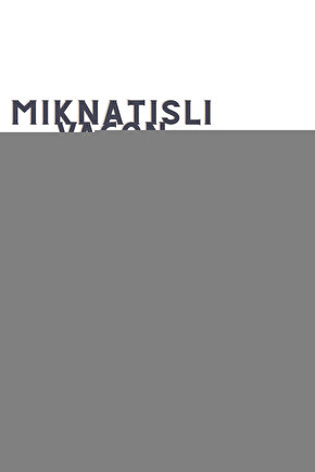 Mag 22 Parça Hassas Cırcır Tornavida Seti