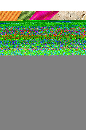 Farleg Bambu 4lü Amerikan Servis Renkli