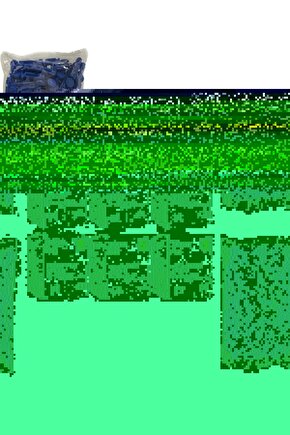 G40 6 Kutu (50X6=300) Kan Şeker Ölçüm Stripi (ÇUBUĞU) 200 Lanset Iğne