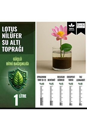 1 adet lotus tohumu - Lotus Çiçeği (Nilüfer) Su Altı Torf Karışımı Toprağı (1 LT Toprak) hediyeli