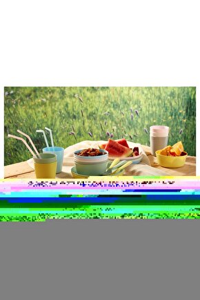 Beyaz Baskılı Yakalı Kısa Kollu T-shirt