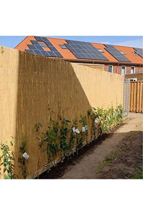 Doğal Kamış Hasır Çit 1,5m X 5m Doğal Bambu -bahçe Çiti - Gölgelik Hasır -tavan Dekorasyon