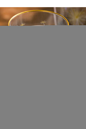 Fren Stop Lamba Çakar Modulü Kumandalı Br4613007