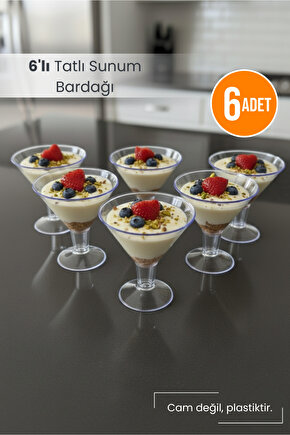 Plastik Tatlı Sunum Bardağı | 6lı Mika Tatlı Dondurma Puding Kasesi (CAM DEĞİLDİR)