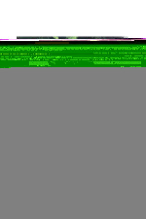 YM Üniversal Sele Kılıfı Yeşil Kurukafa