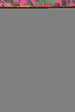 Disk Fren Balata Kn-dirift Ön Balata Kn - Drift