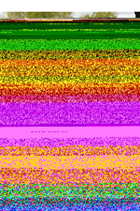 Mimoza Tek Kişilik Sandıklı Baza ve Başlık Seti 2’li Set