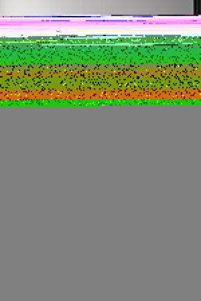 Kıvırcık Paspas İç Dış Zemin Halı Yolluk Kapı Önü Havuz Banyo Duş İş Yeri Apartman Paspası 12mm