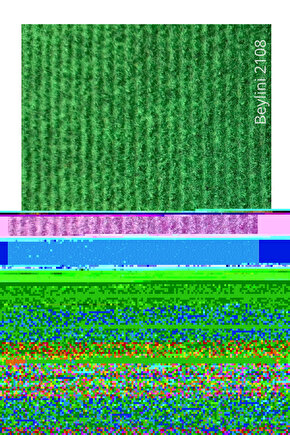 Halıfleks Zemin Yer Kaplama 3 mm Kalınlığında Rip Halı Duvardan Duvara Halıflex Organizasyon Davet