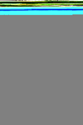 Moringa Yaprağı Çayı - 50 gr