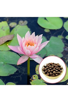 Bambu Saten Halı Kilim Salon Mutfak Koridor Yolluk Dokuma Makine Halısı Petra 2 Gri