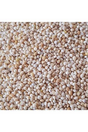 200 gr - Kuş Yemi Ak Darı Beyaz Darı - (AKDARI)