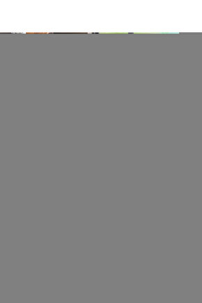 Birtaş Kırmızı Fındık Turp Tohumu