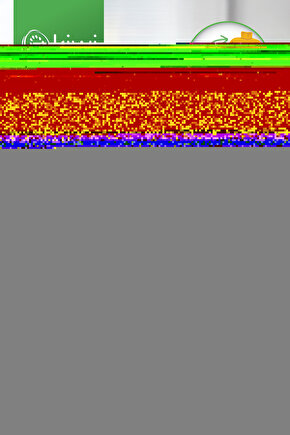 Hardal Siyah Batik Desen Tokalı Bone