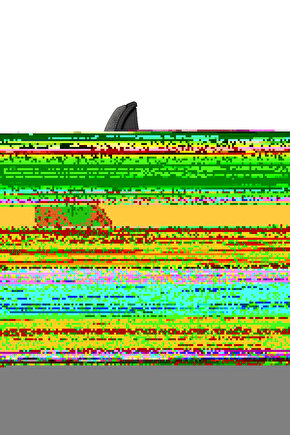 Ayarlanabilir Kuru Dal Makası