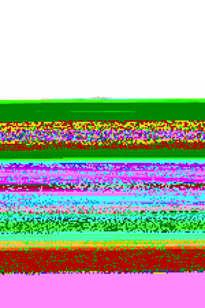 Sünger Hasta Yataği