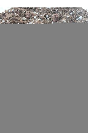 SENSE RIDE 5 GORE-TEX Kadın Koşu Ayakkabısı Black L47147600