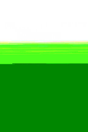 Motorsiklet Zincir Temizleme Fırçası