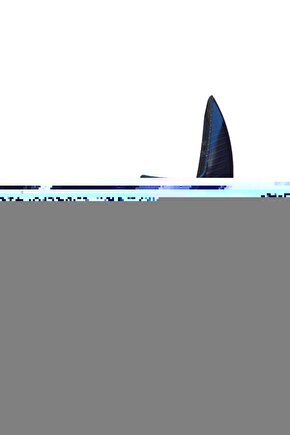 Bilek Tipi Türkçe Konuşan Otomatik Dijital Aleti