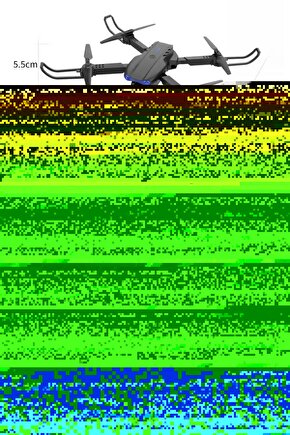 Moringa ağacı tohumu  5 Adet Tane - Mucize Ağaç