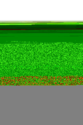 Karnıyarık Otu Tohumu - 50 gr - Psyllium