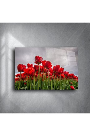 Kırmızı lale tarlası doğa manzaralı kanvas tablo
