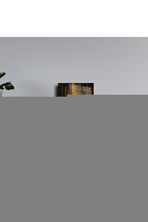 Micro Plise Krem Zebra Perde