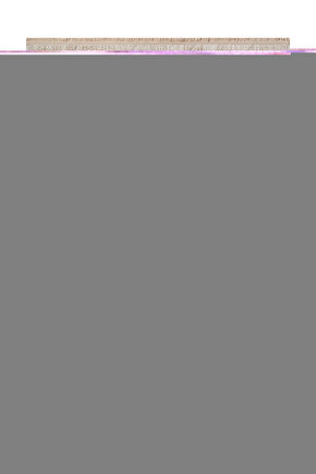 Aslan Kral Cam Tablo Duvar Dekoru 3