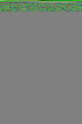 Yaka Detaylı Deri Bomber Ceket