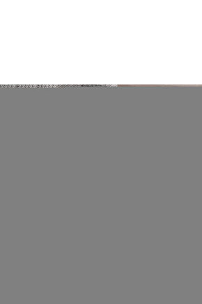 7. Sınıf Sosyal Bilgiler Arı Soru Bankası (Kitapsenine Özel Güncel Baskıdır)