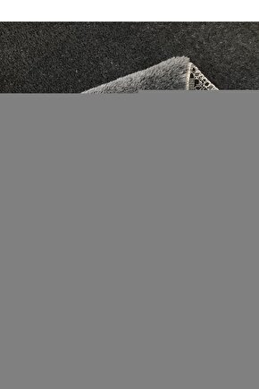 Model Ezop Masalları 10 Kitap